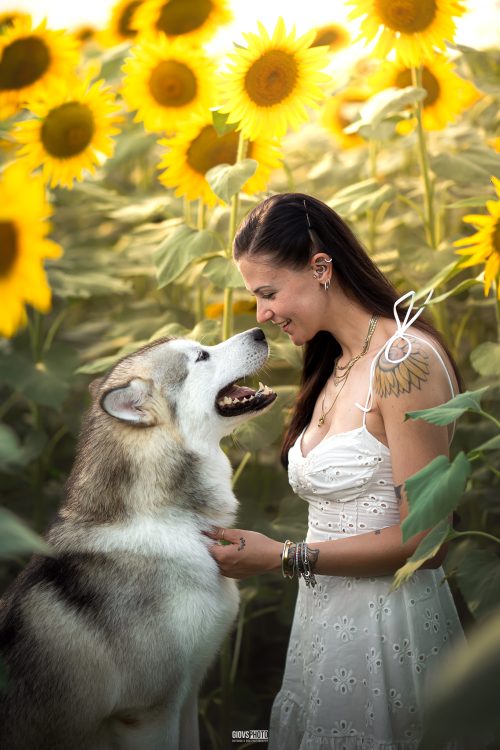 dogphotography-girasoli-ragazza